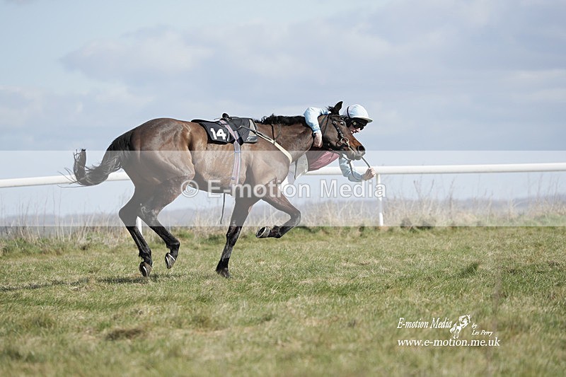 PtP 260223 496 - South & West Wilts Point-to-Point Larkhill 26/02/23