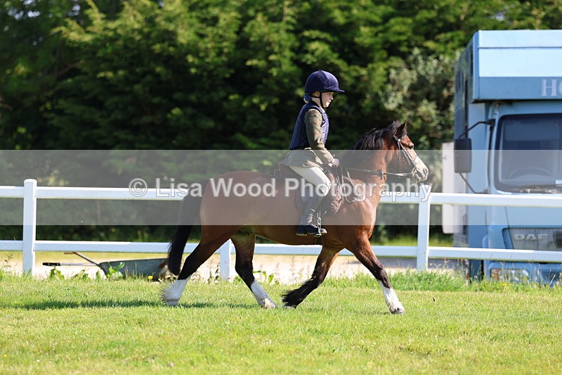3E7A5818 - Class 26: Lead Rein/First Ridden
