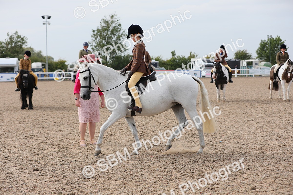 SBM_17009 - Class 314 Family Horse/Pony