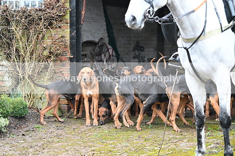 WJ7_2933 - Meet