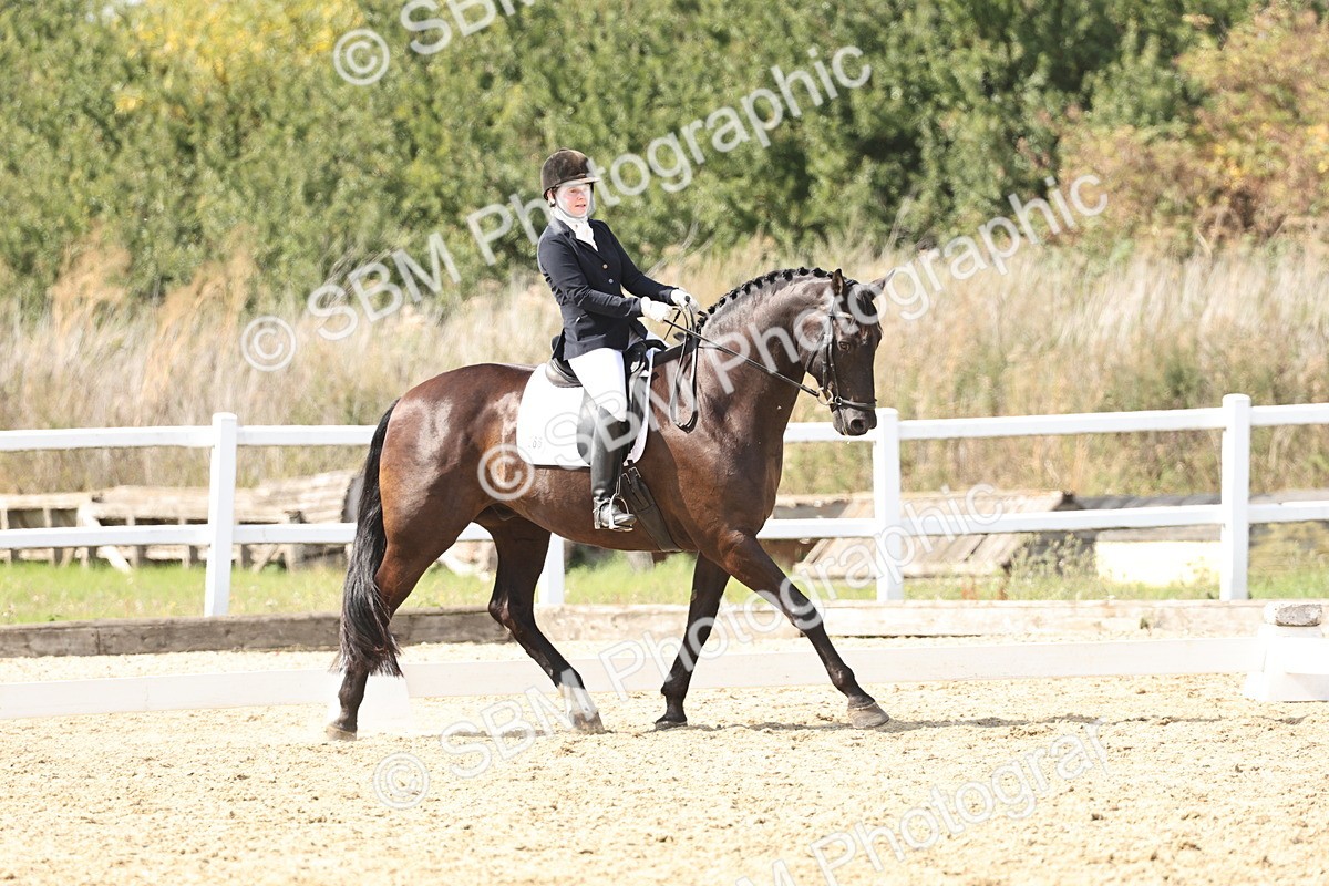 SBM_014866 - Class 7 - Medium 3