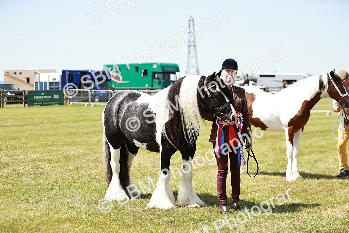 SBM_05517 - Class 41-45 - Riding Pony-Hunter Pony Breeding