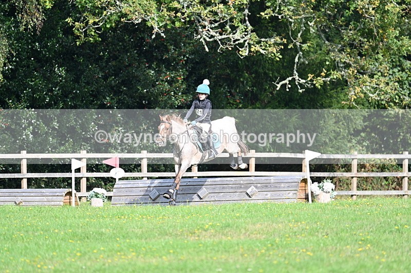 WJ7_5010 - 60cm Time 11:11 to 11:19