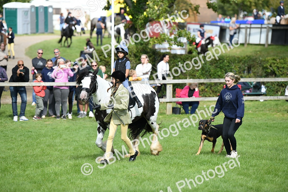 SBM_46942 - S12 - Family Horse & Pony