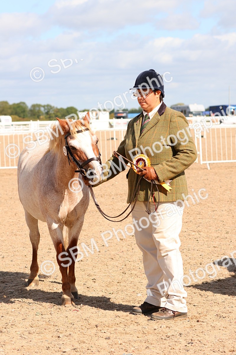 SBM_12005 - Class 209 - IH Veteran Pony