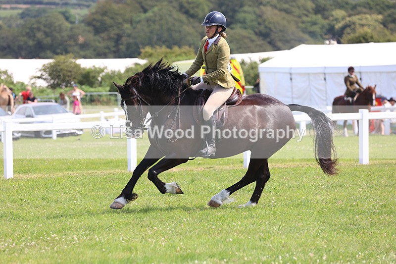 JPP_3553 - Class 23: Working Hunter 80cm