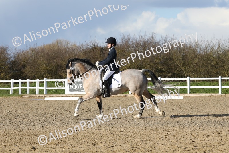 20260314-5841 - DR 7 - Elementary 1