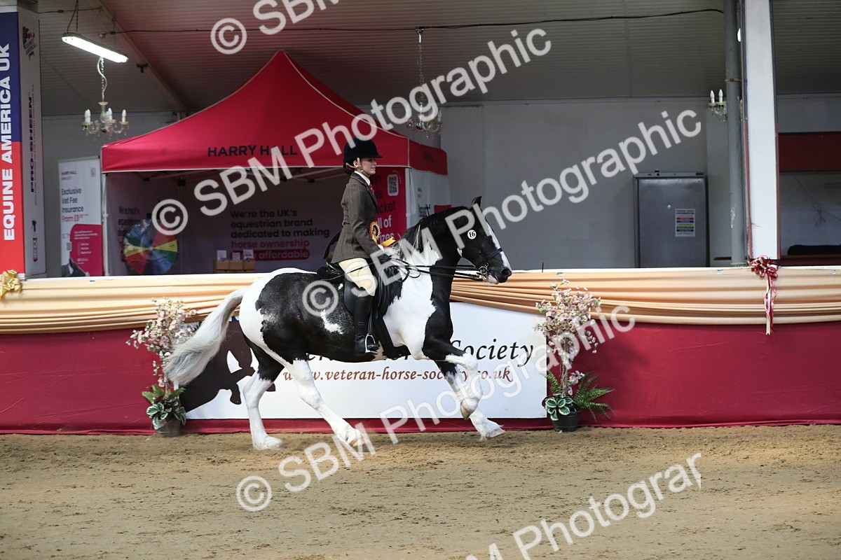 SBM_03010 - Class 6a Area Ridden Pre Vet