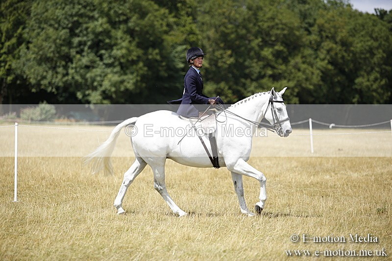 _C7A0220 - Side Saddle Classes BVRC Show 2018