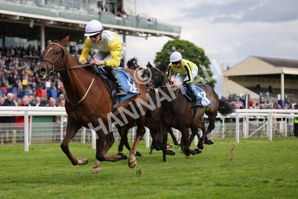 yr11052022r6-18 - Race 6 4.45pm Conundrum HR Consulting Stakes