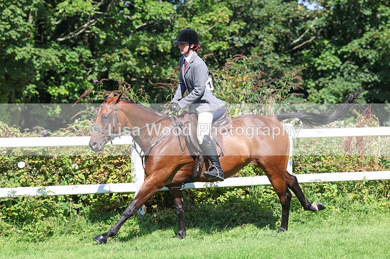 3E7A8431 - Class 4: Novice working Hunter