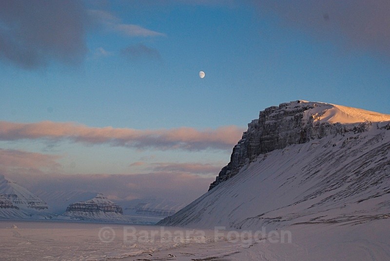 Tempelfjorden 0042 - The daylight returns