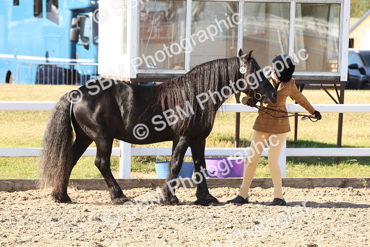 SBM_11721 - Class 204 - Young Handler 11 to 16 years