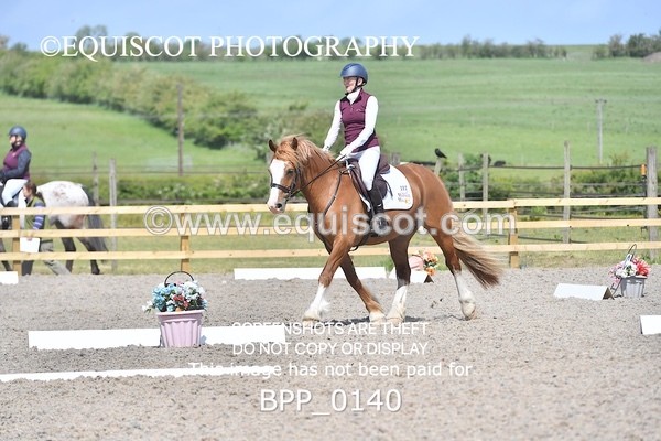 BPP_0140 - SHORT ARENA  MY QUEST PRELIM