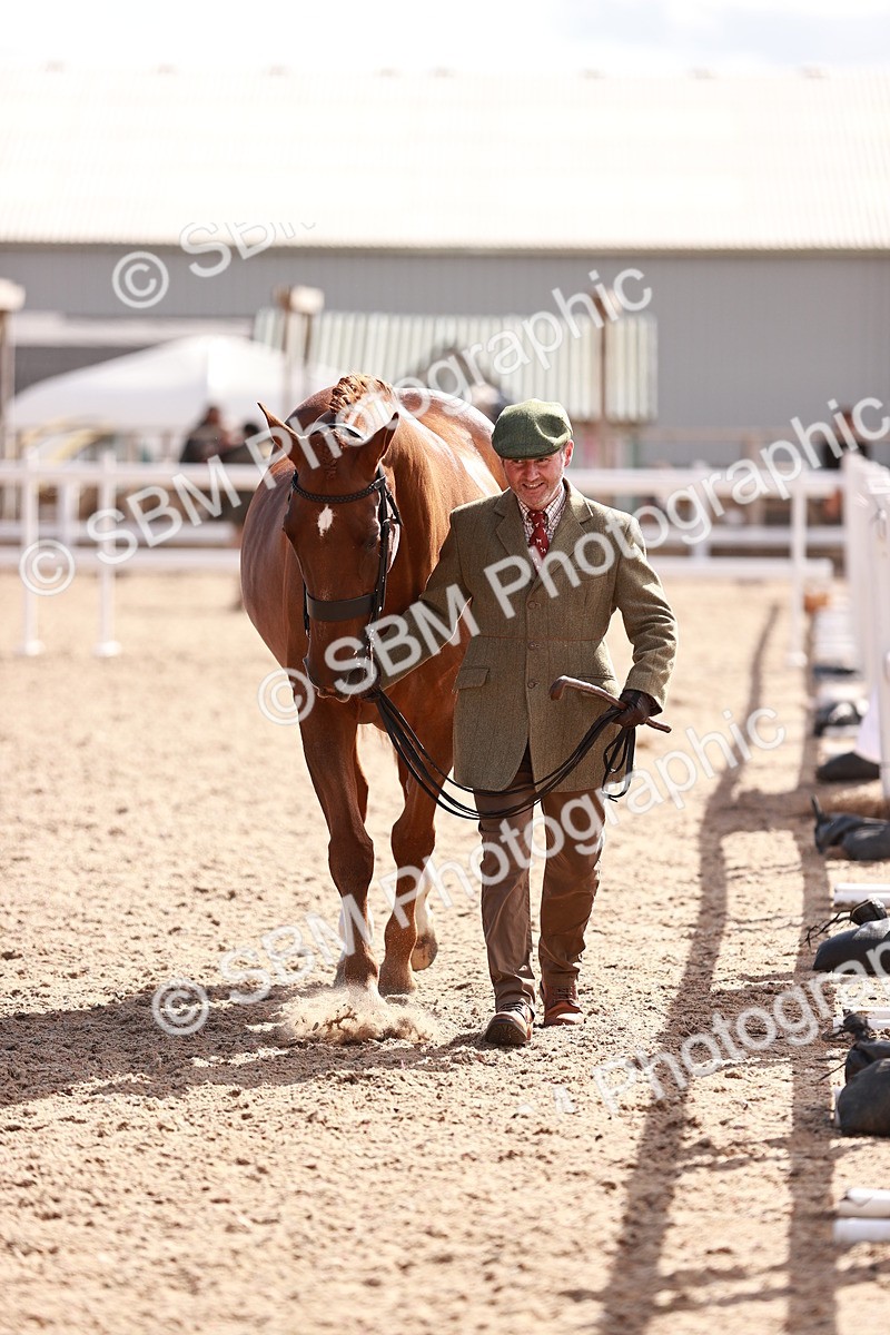 SBM_13349 - class 406 - IH Hunter