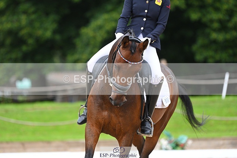 230813-103617-06366 - Cls 12 Elem Silver 10.35 to End