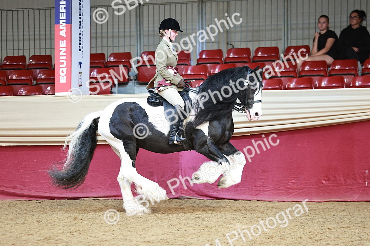 SBM_08713 - Regional Ridden Champ