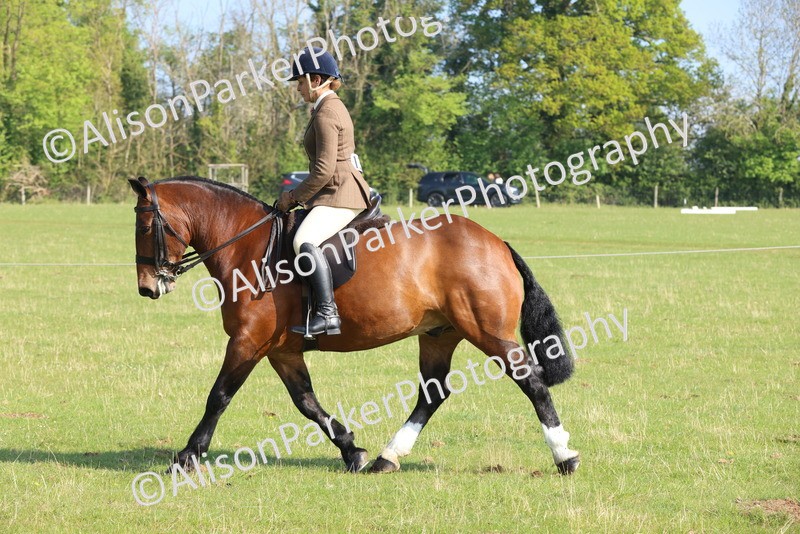 20250427-0515 - Class 17 - Novice Showing