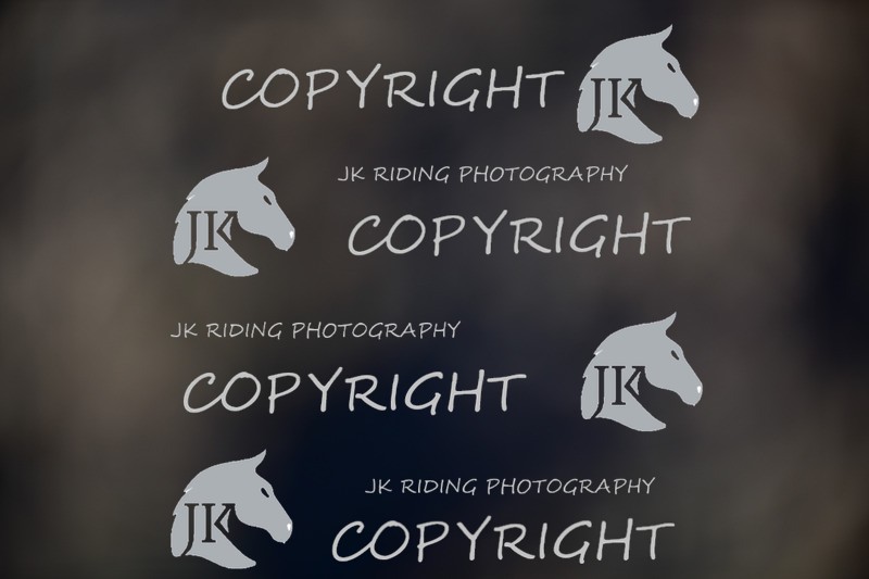 SBP_0735 - 10am - 11am