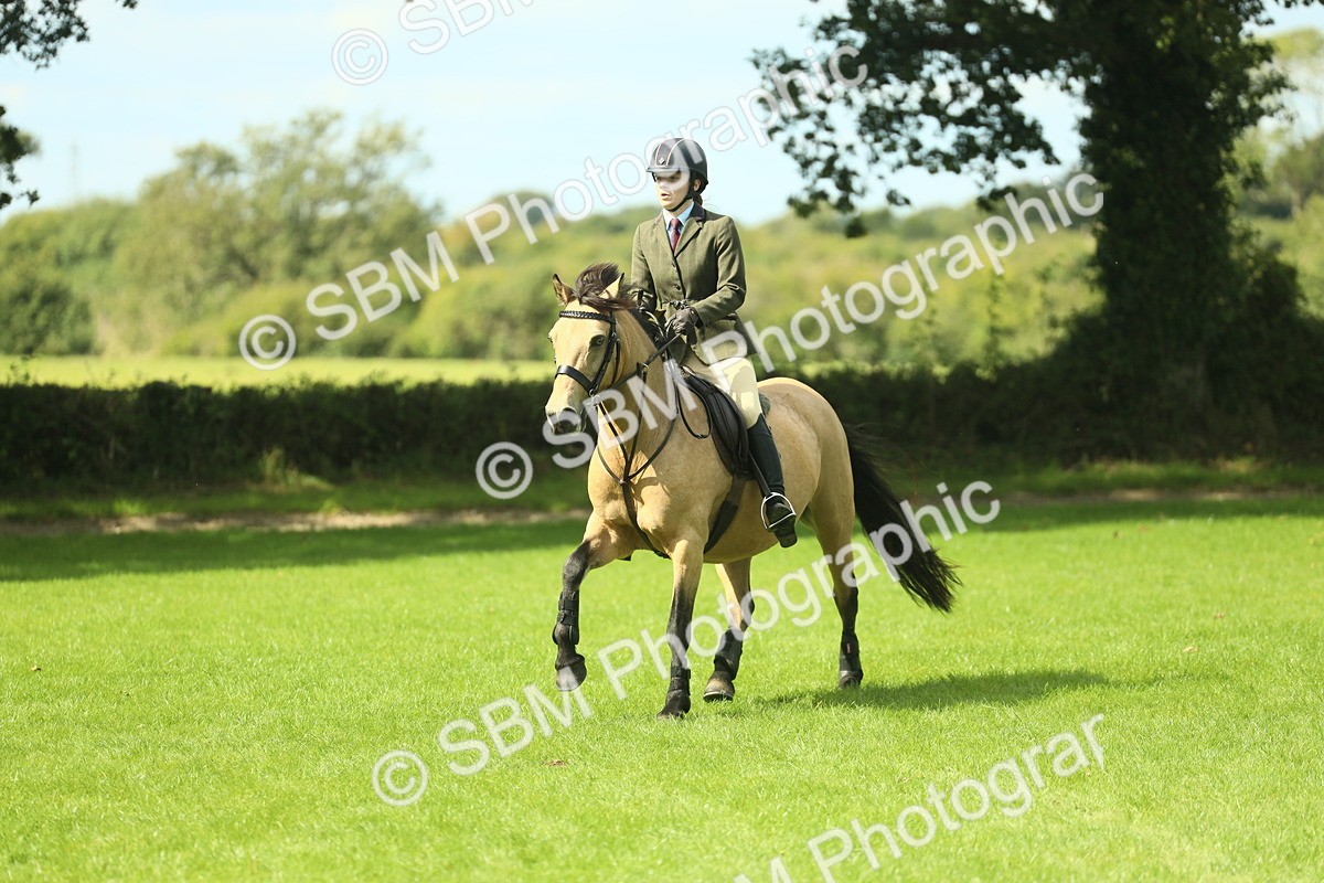 SBM_42858 - S30 - M&M Working hunter Pony