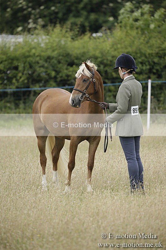 B230619-0050 - Bourne Valley Riding Club Summer Show 23/06/19