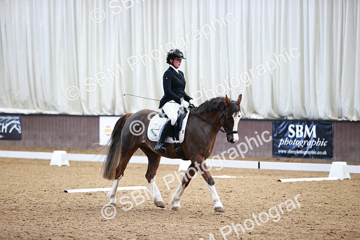 SBM_000133 - Class 3, 4, 8, 10 Intro 3 Prelim 3 Novice 2