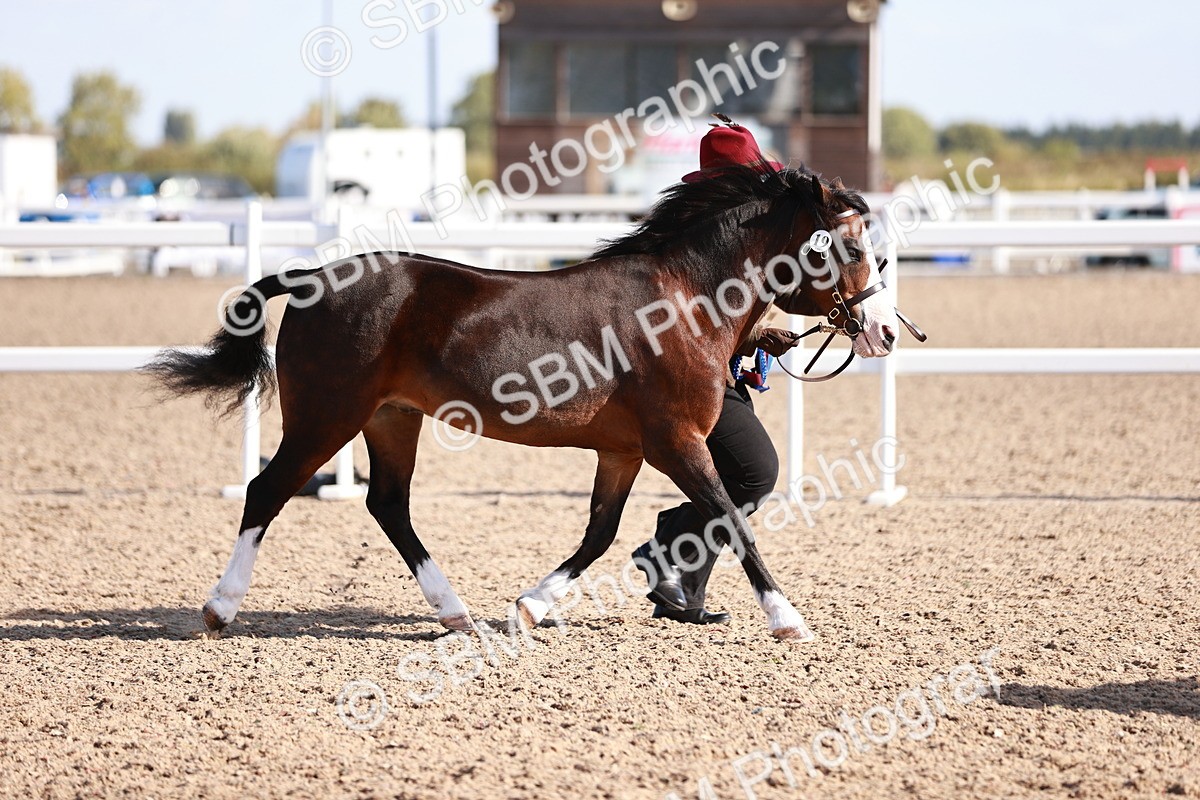SBM_22739 - Class 704 - IH  Rescue