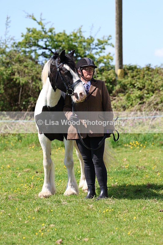 3E7A0351 - Class 19: Best Coloured in Hand