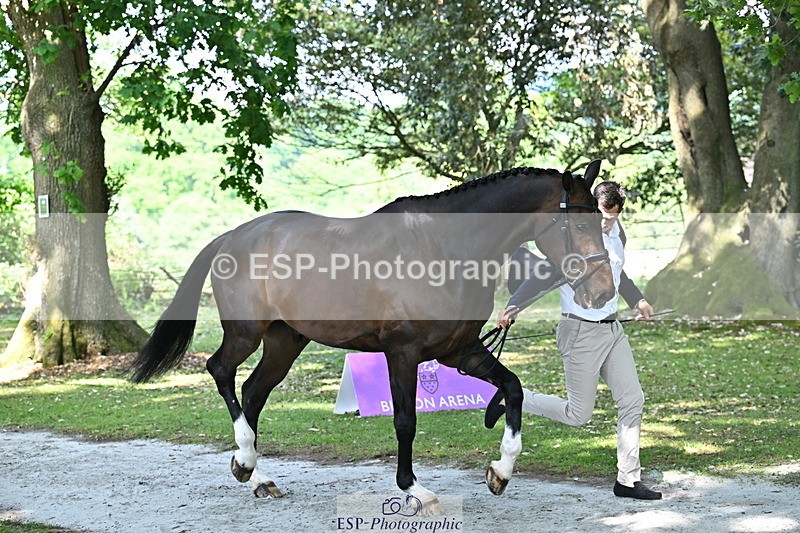 250521A-155002-00789 - B-372-Stephen.Heal-HISCO