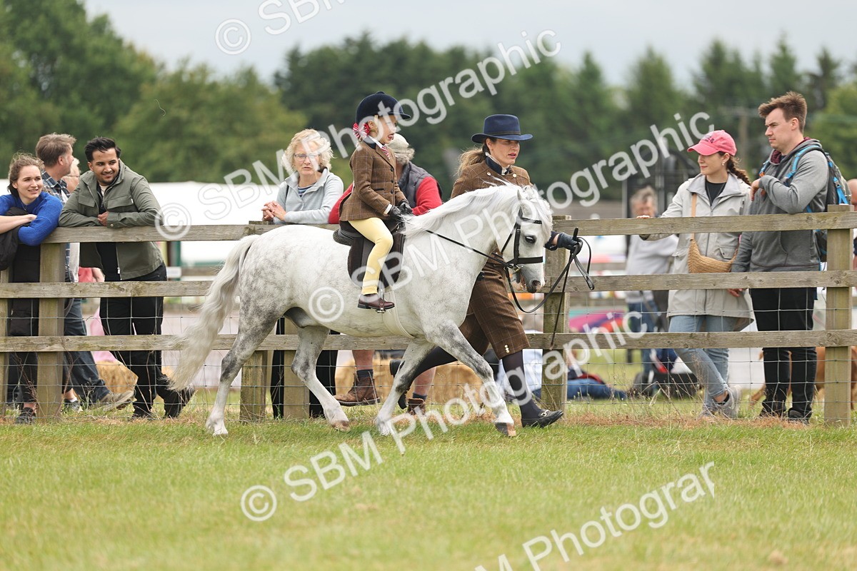 SBM_06692 - Class 74-75 - M&M Lead Rein and First Ridden Pony