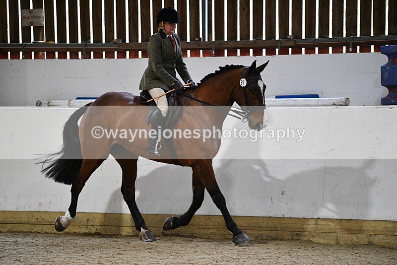 WJ5_8985 - Class 15 Ridden Show Horse