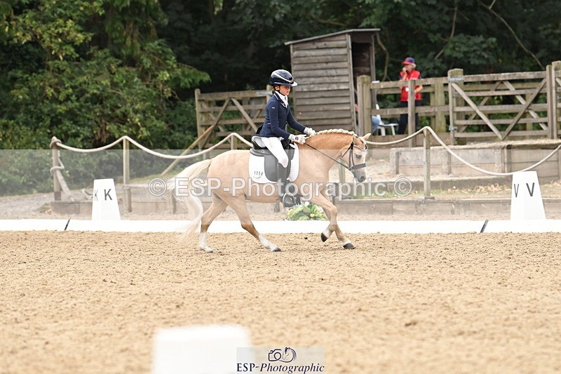 250808A-114239-00678 - 155-Rose.Cassapi-Westfirle.Golden.Oriole