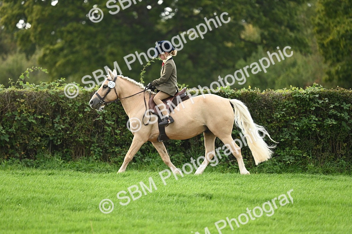 SBM_26624 - S7 - Novice & Newcomer Ridden Pony