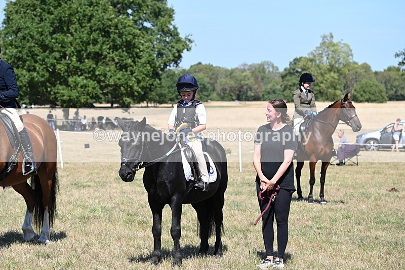 WJ6_8492 - Class 37a Best Loan Pony Ridden