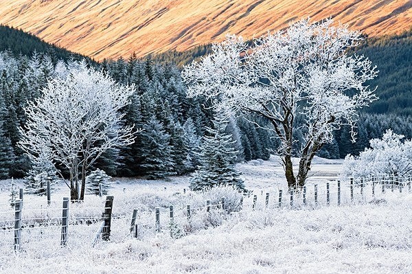  - Scotland, UK