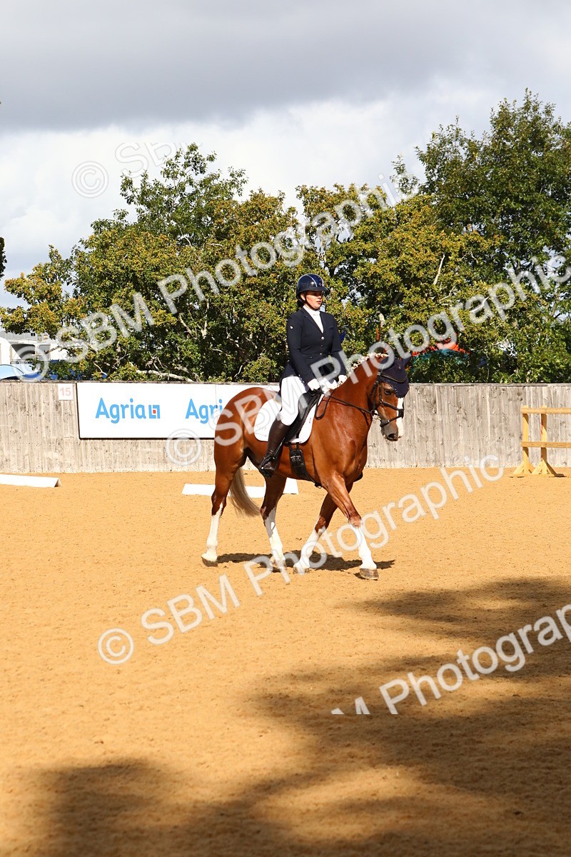 SBM_18277 - D31 - Grand Tour PYO Open .