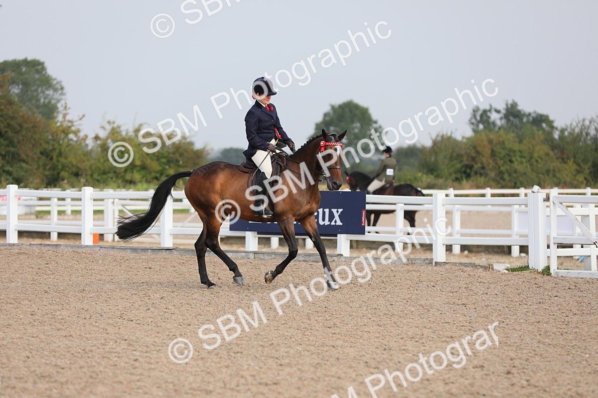 SBM_10741 - Class 303 Ridden Pure Bred Horse/Pony (excl M&M)