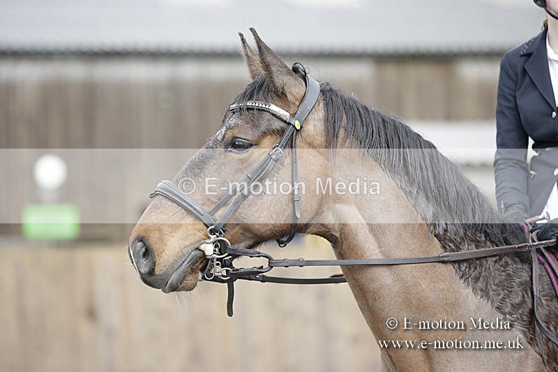 BVRC 050320 0322 - Bourne Valley riding Club Show Jumping Tidworth 08/03/20