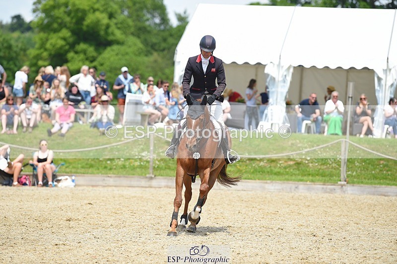 230528-125644-15911 - 301-JET_FIGHTER-Harry_Meade-SUNTrotUp+SJ