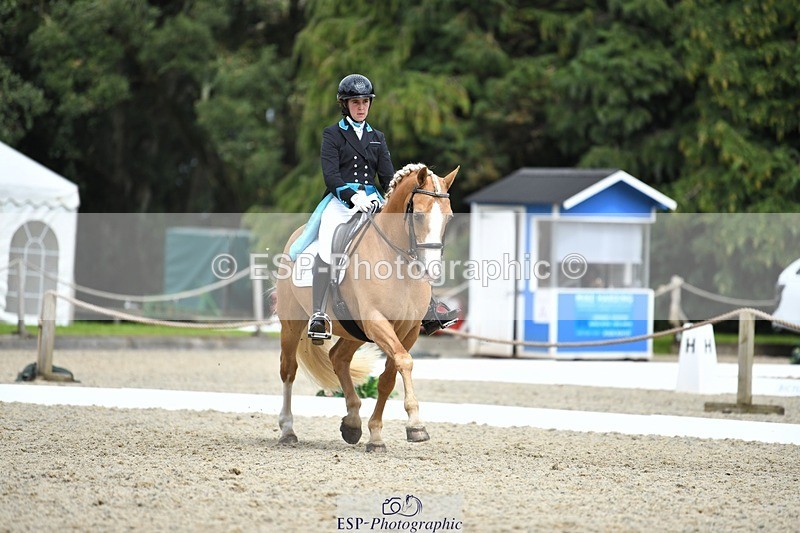 230812-142248-04683 - Cls 7 FEI PSG Bronze