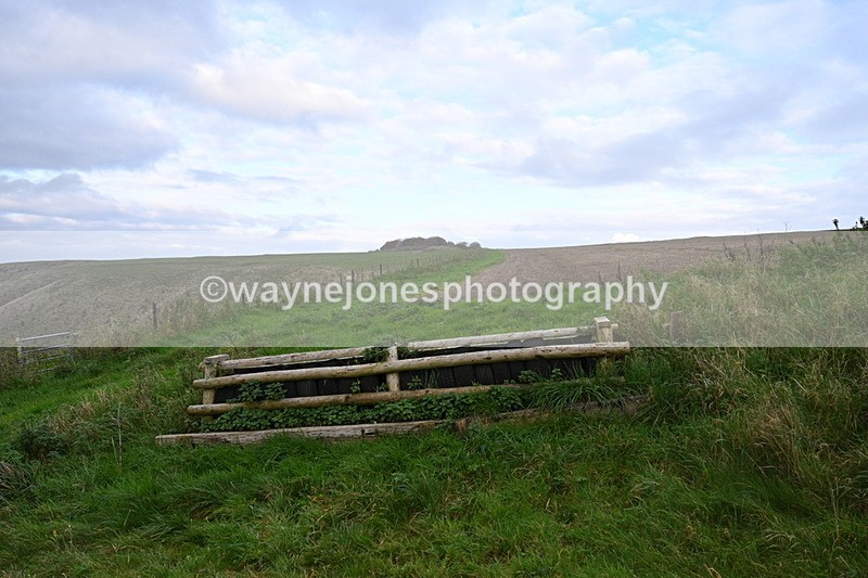WJ7_9691 - Camera 1 & Last fence