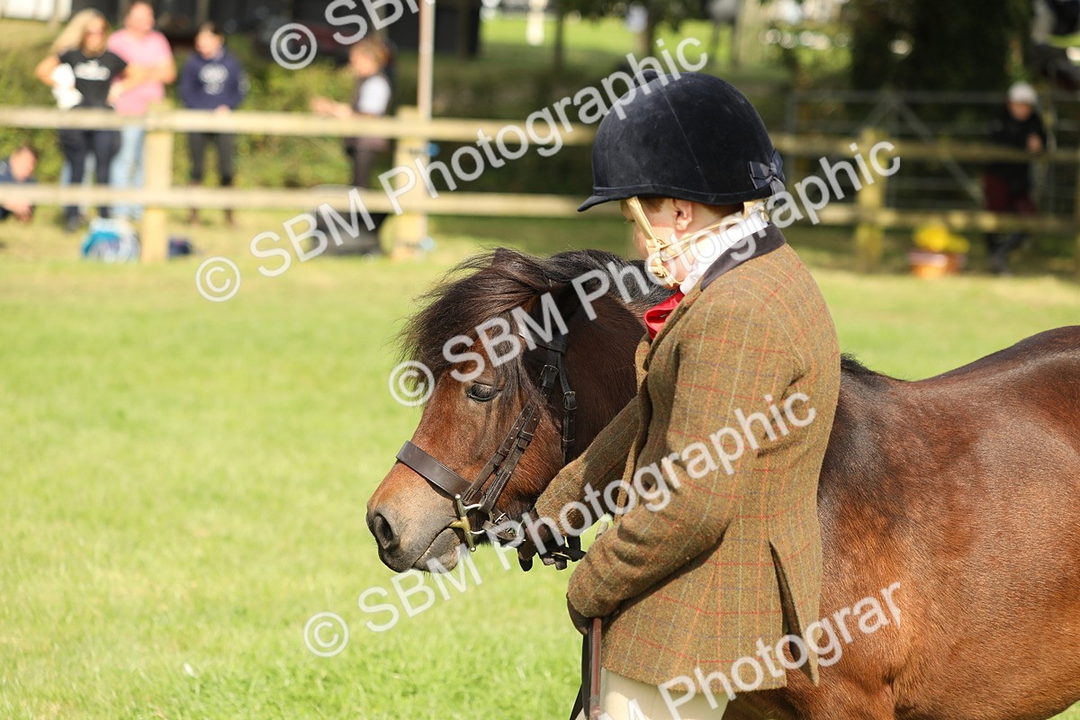 SBM_68614 - S40 - Junior Handler 9-12 Years