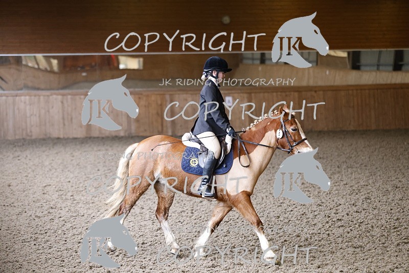 _R6A1372 - Class 1 walk trot 2022