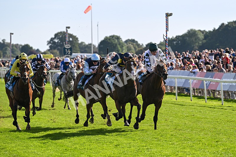 060926-Race 5-Extremely Zain-8387 - Race 5 3.50pm Starman At Tally Ho Stud Garrowby Stakes