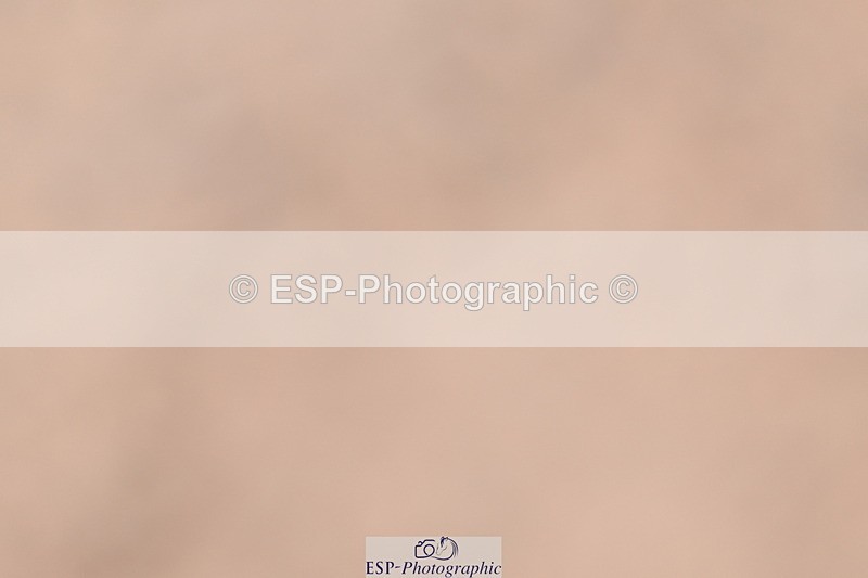 260923B-132228-00376 - Cls 04 Snr 1.05m Open