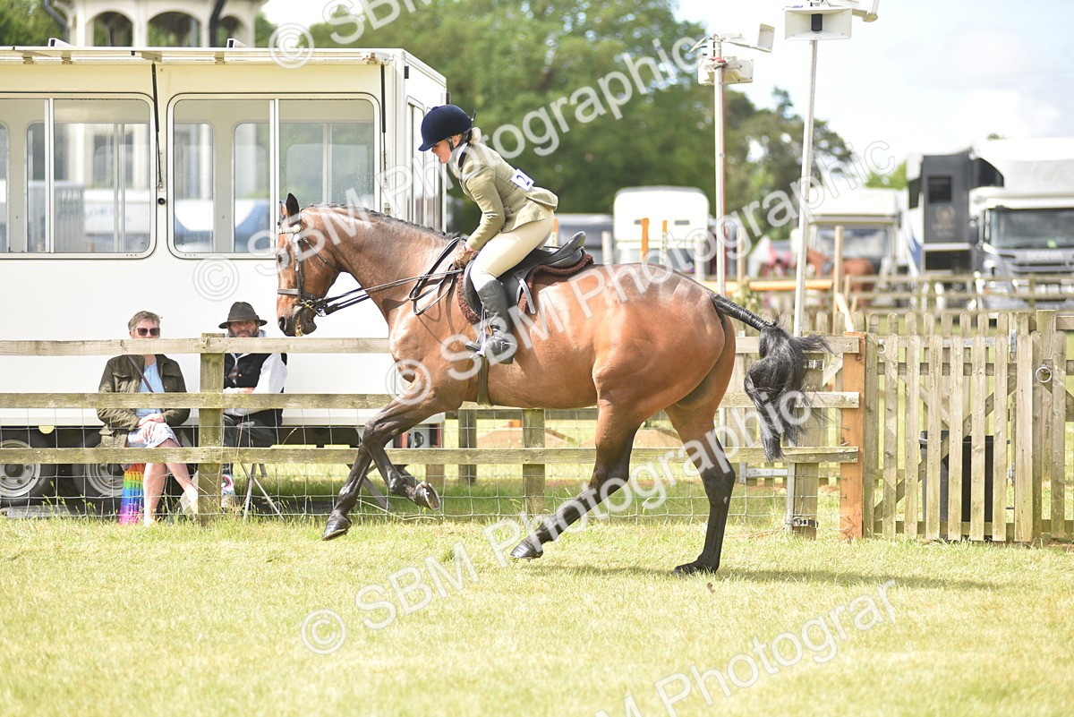 SBM_15093 - Class 113-114 - Retraining of Racehorses Ridden