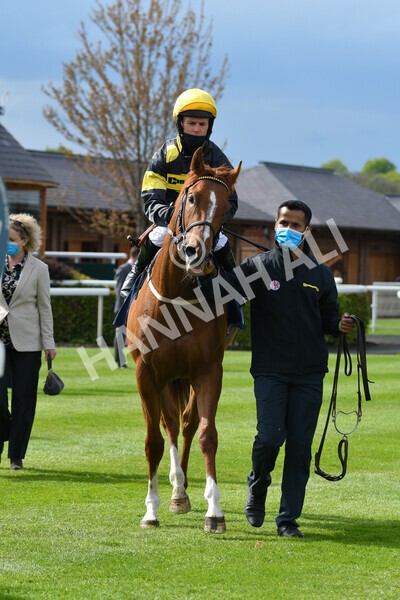 yr12052021r6-27 - Race 6 4.15pm British Stallion Studs EBF Novice Stakes