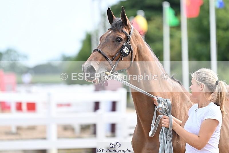 240717A-165607-03551 - Trot Up 4pm to 5pm