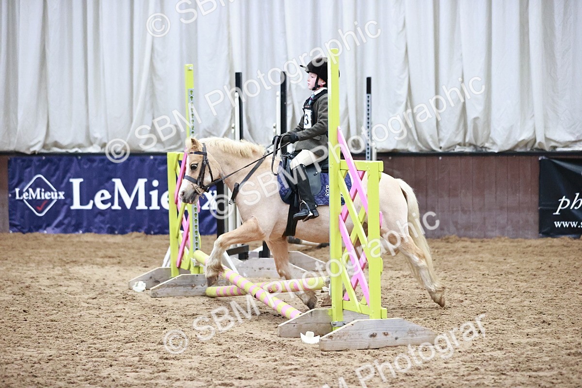 SBM_000270 - Class 1 - Cross Pole Jumping 30cm 40cm