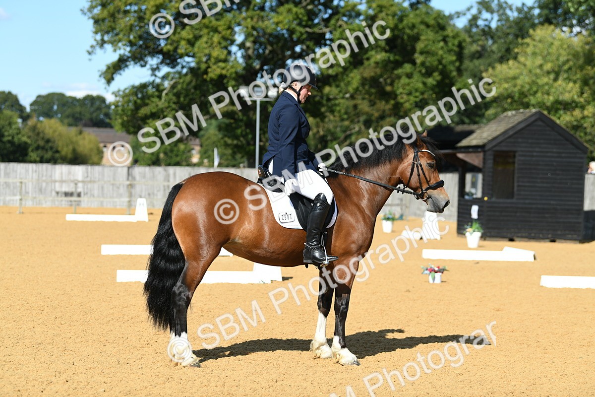 SBM_25055 - D13 - Grand Tour Championship - Prelim 12